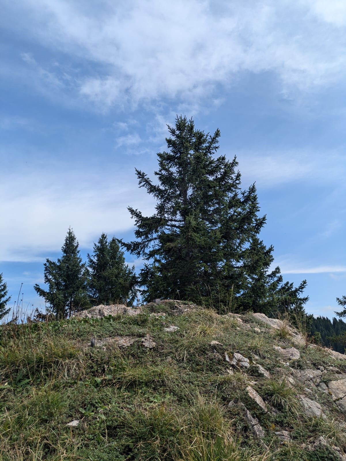Gipfelkreuz Siechenkopf 1